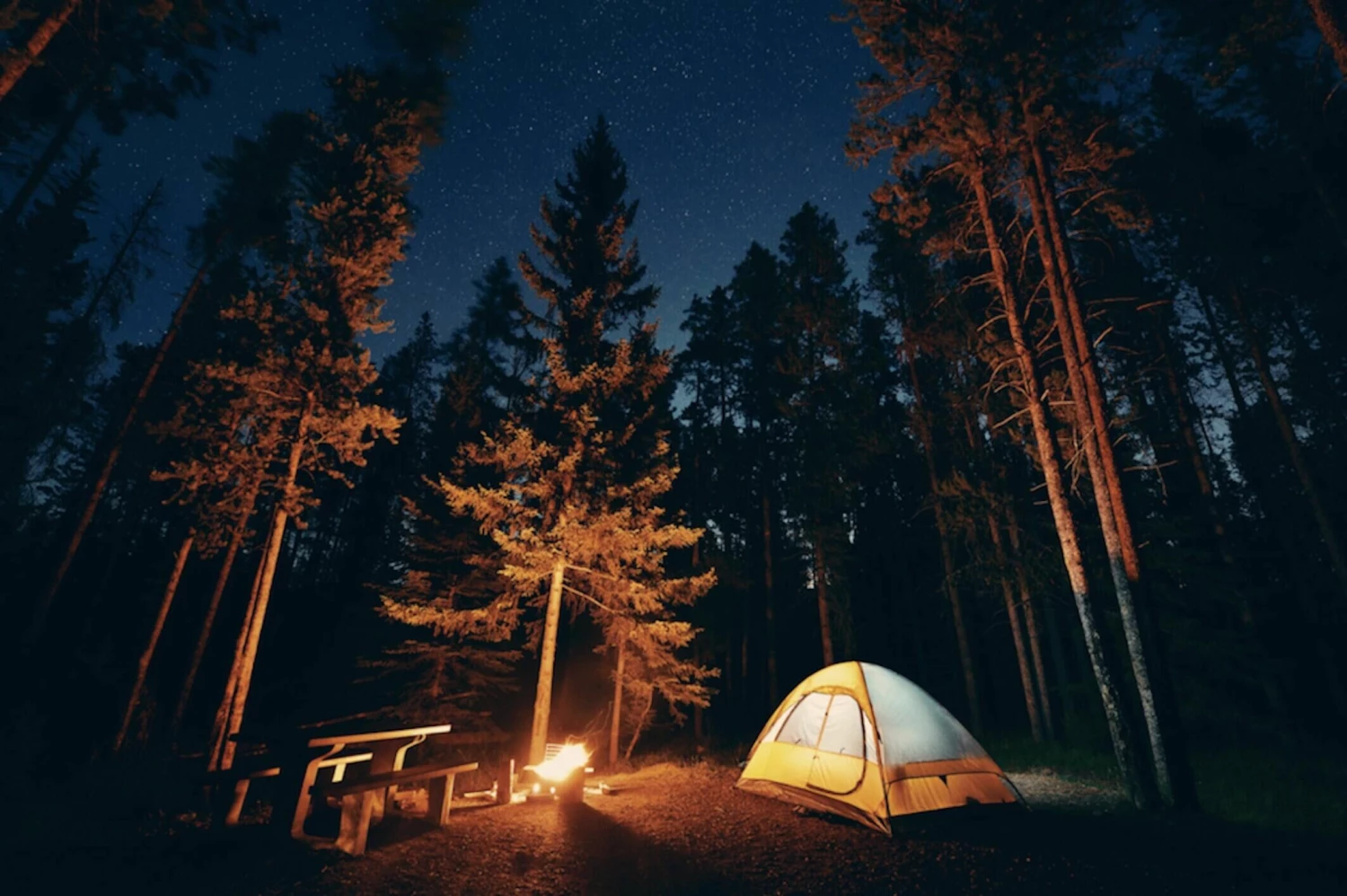 Brightguy Online Shop -Brightguy Online Shop 788888