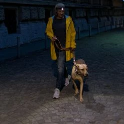 Cheap 😀 Automotive Repair Flashlights LED Lenser H7R.2 Rechargeable Headlamp | Adjustable Focus 😉 -Brightguy Online Shop LED Lenser H7R.2 Rechargeable Headlamp 12