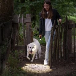 Budget โ Boating Flashlights LEDLenser P5R Core Rechargeable Flashlight | Adjustable Focus ๐ 13 Budget โ Boating Flashlights LEDLenser P5R Core Rechargeable Flashlight | Adjustable Focus ๐ -Brightguy Online Shop LED Lenser P5R Core Rechargeable Flashlight 6 600x600 1